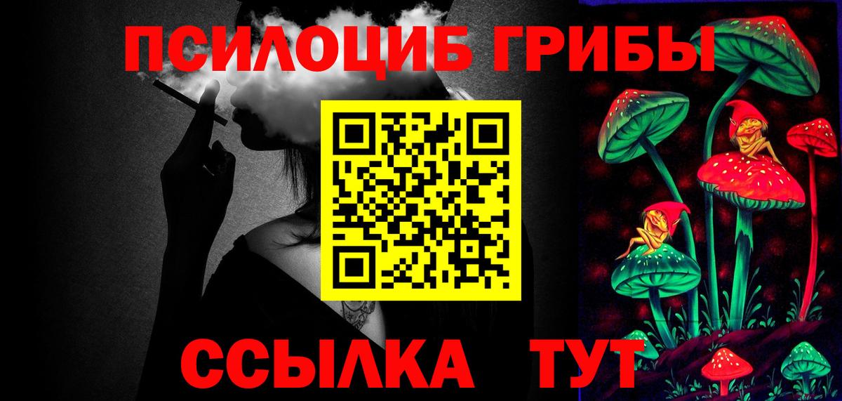 Заводоуковск  Галлюциногенные грибы MAGIC MUSHROOMS  Вход с VPN 