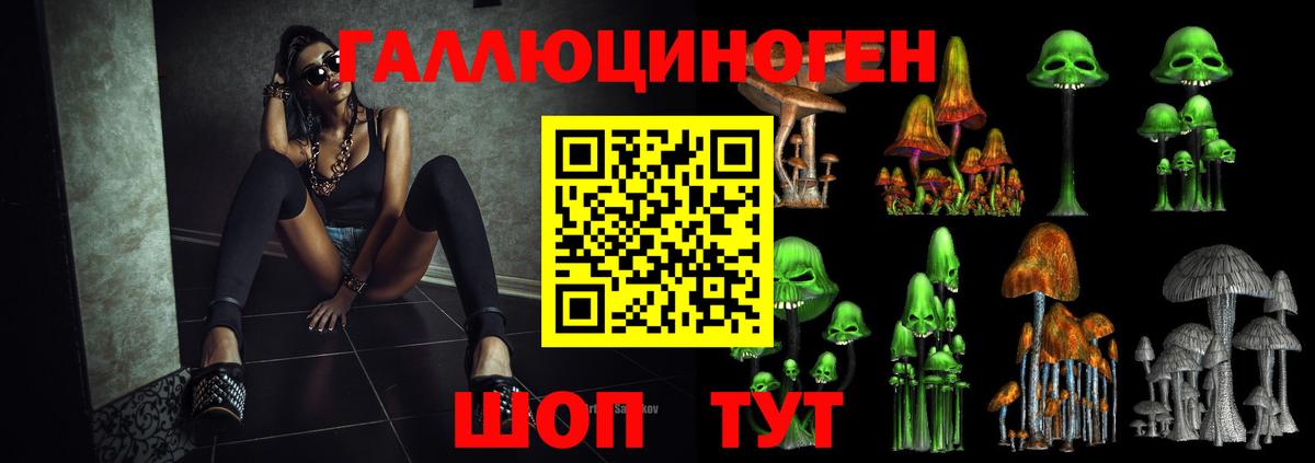 Псилоцибиновые грибы ЛСД Заводоуковск